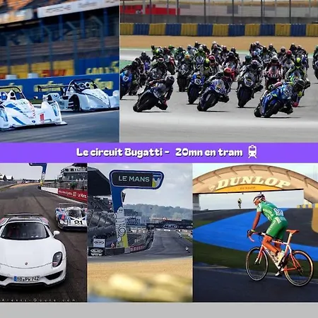 Flexy - T2 - L' Agate Grise - * Le Mans