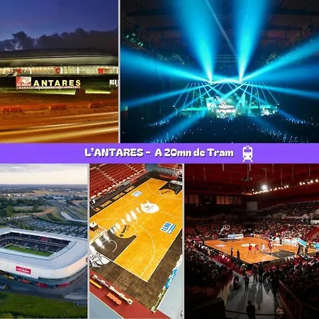 Flexy - T2 - L' Agate Grise - Appartement