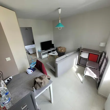 Flexy - T2 - L' Agate Grise - * Le Mans