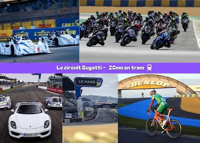 Flexy - T2 - L' Agate Grise - * Le Mans