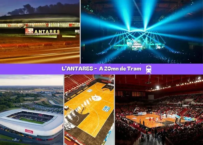 Flexy - T2 - L' Agate Grise - Appartement