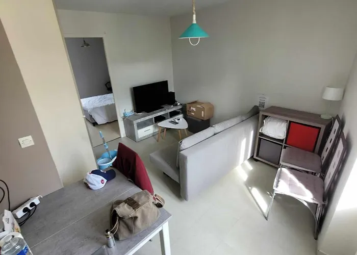 Flexy - T2 - L' Agate Grise - * Le Mans